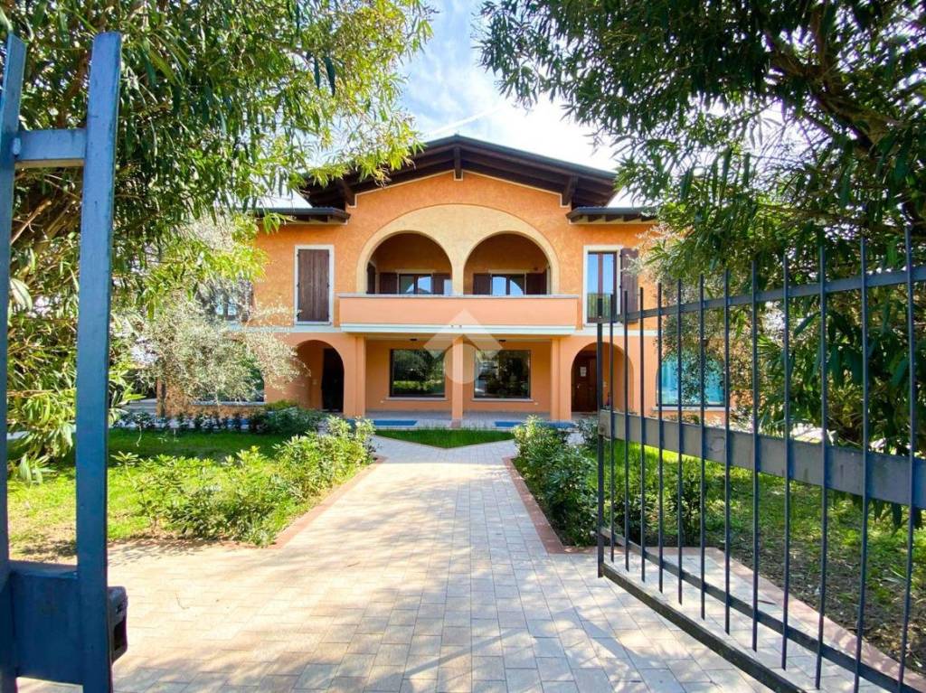 immagine annuncio 10 di 15