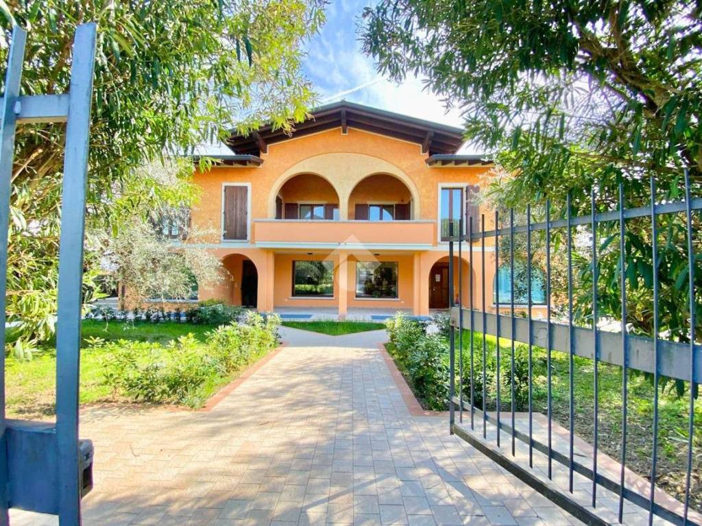 immagine annuncio 14 di 15