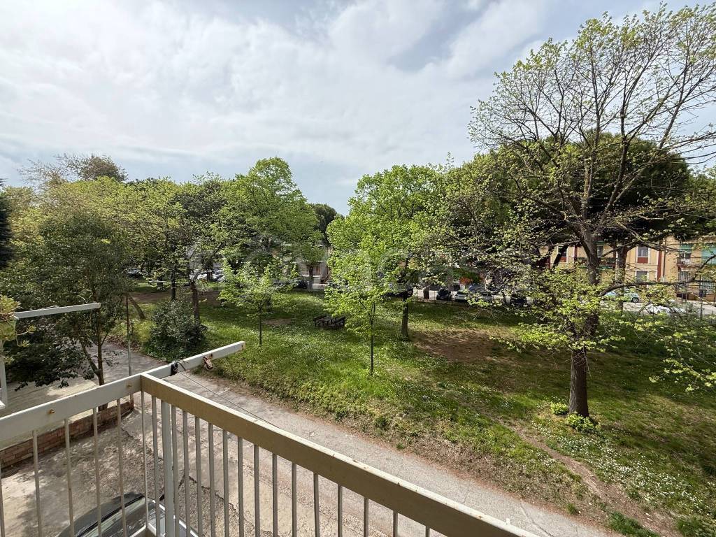 immagine annuncio 11 di 14