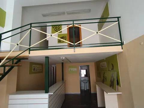 immagine annuncio 2 di 9