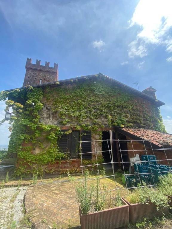 immagine annuncio 10 di 15