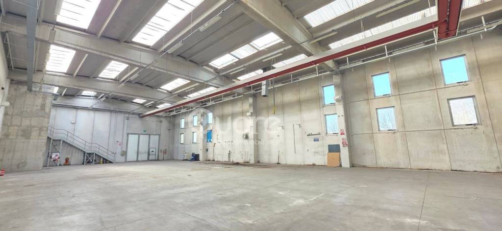 immagine annuncio 10 di 15