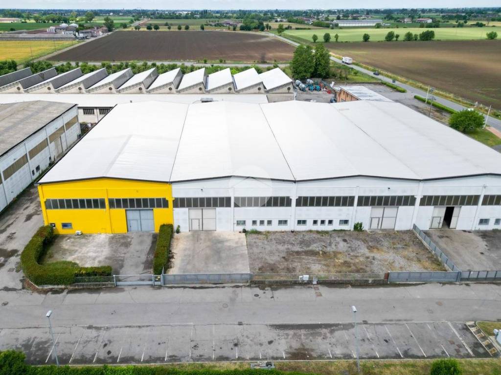 immagine annuncio 4 di 11