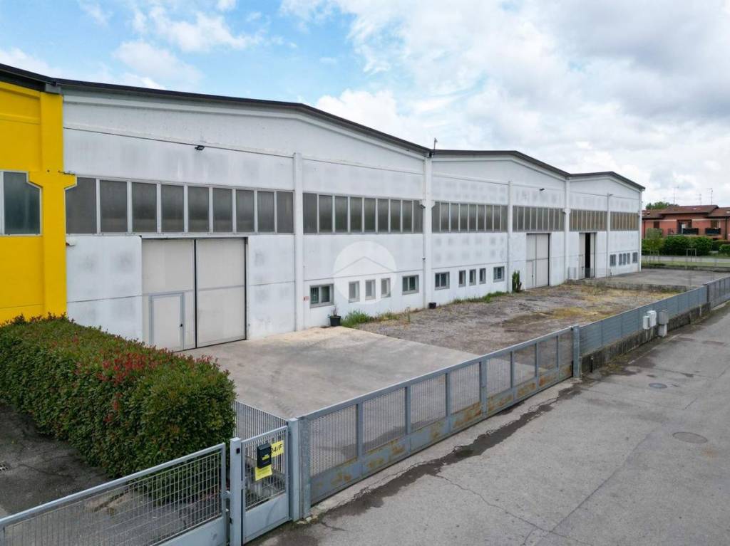 immagine annuncio 6 di 11