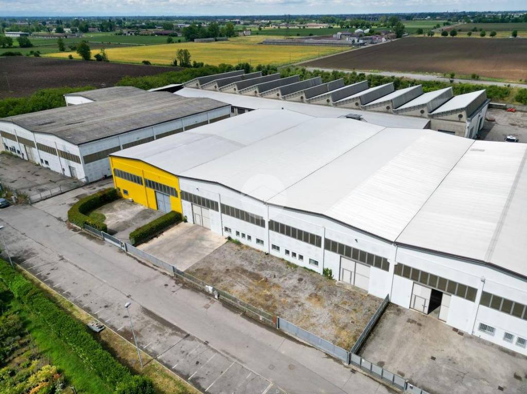 immagine annuncio 9 di 11