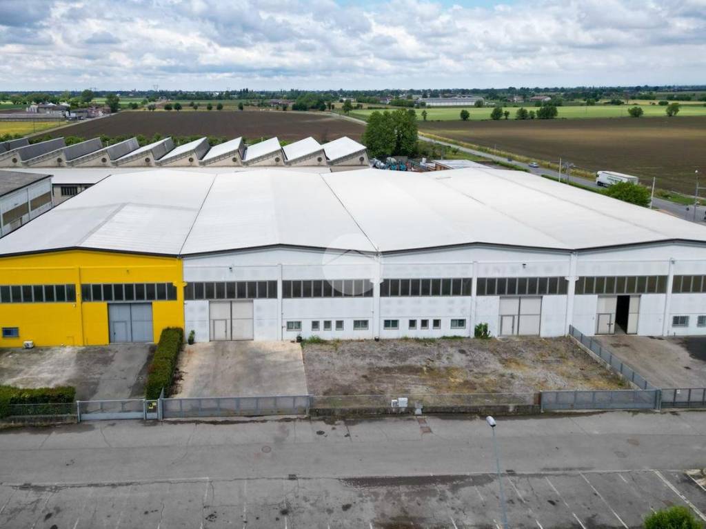 immagine annuncio 10 di 11