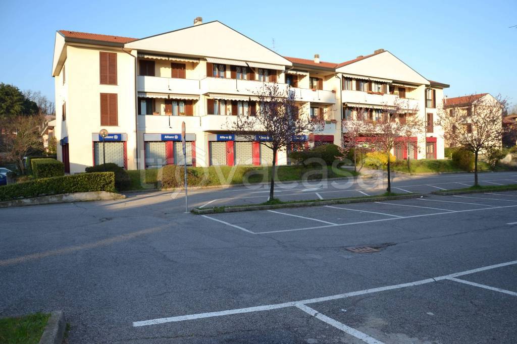 immagine annuncio 1 di 13