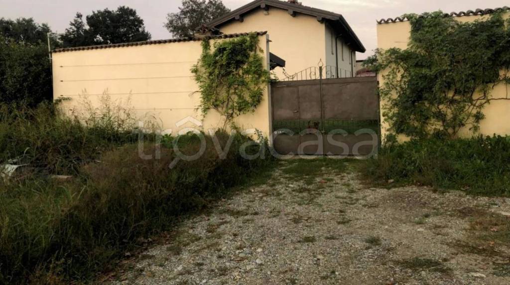 immagine annuncio 2 di 9