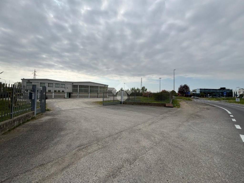 immagine annuncio 6 di 15