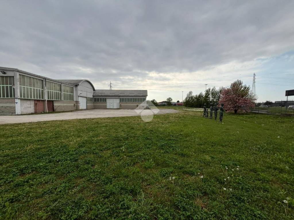 immagine annuncio 9 di 15