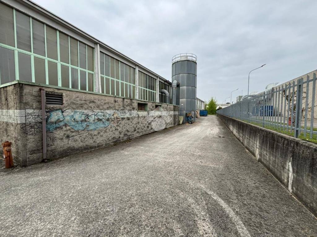 immagine annuncio 11 di 15