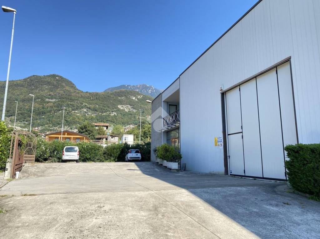 immagine annuncio 7 di 9