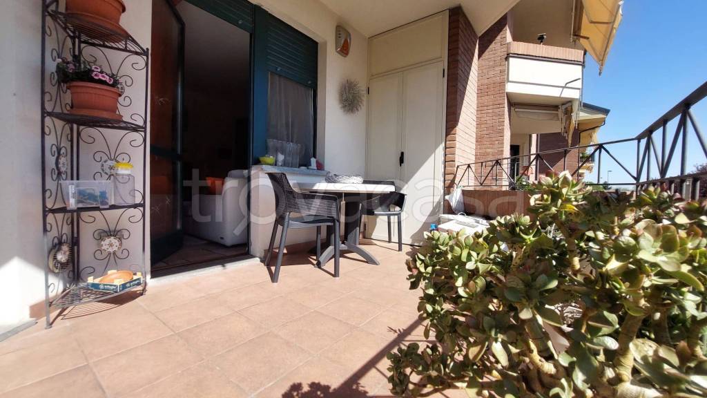 immagine annuncio 6 di 15