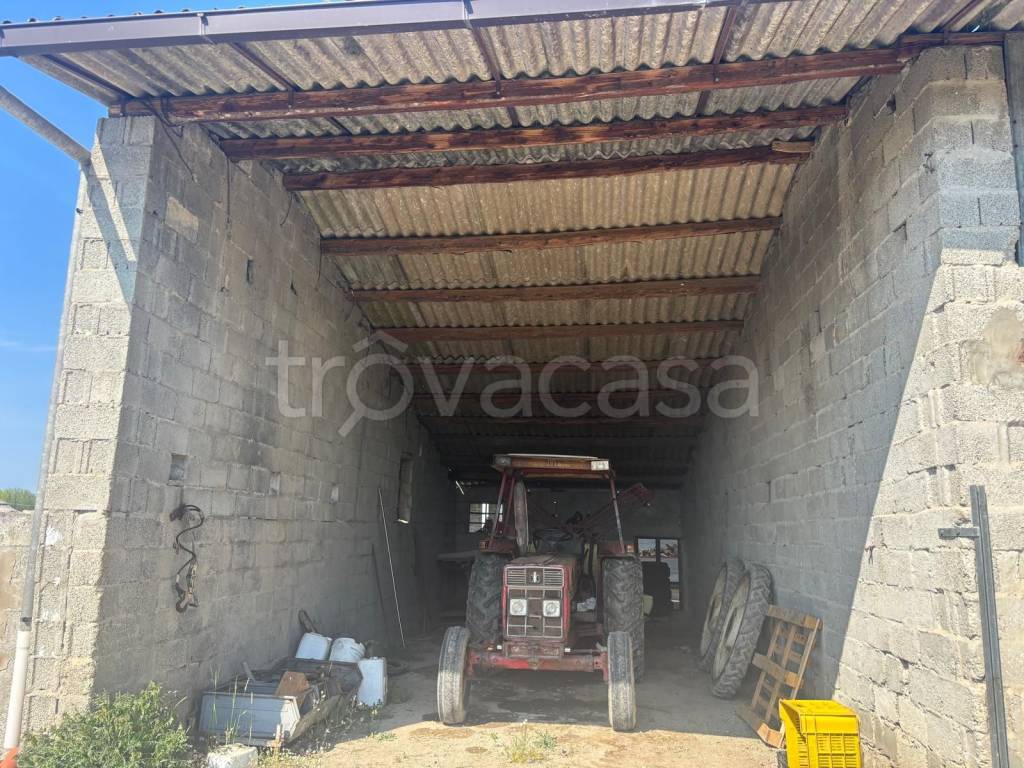 immagine annuncio 2 di 12