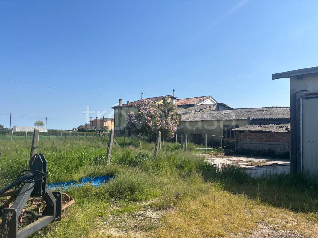 immagine annuncio 4 di 12