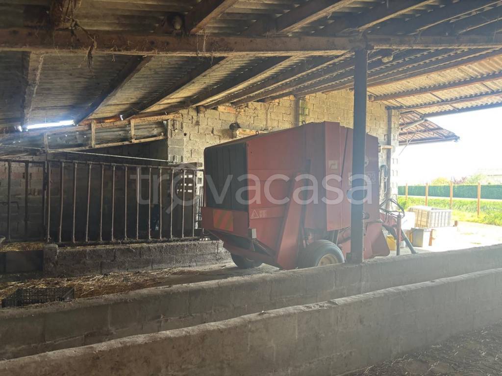 immagine annuncio 5 di 12