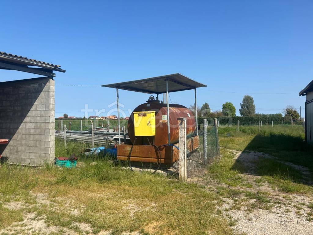 immagine annuncio 7 di 12