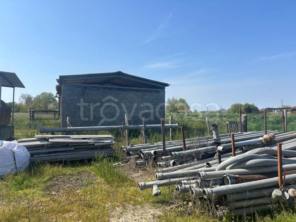 immagine annuncio 8 di 12