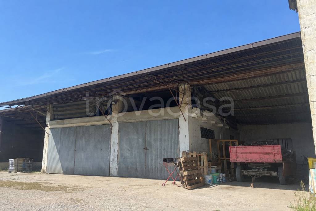 immagine annuncio 9 di 12