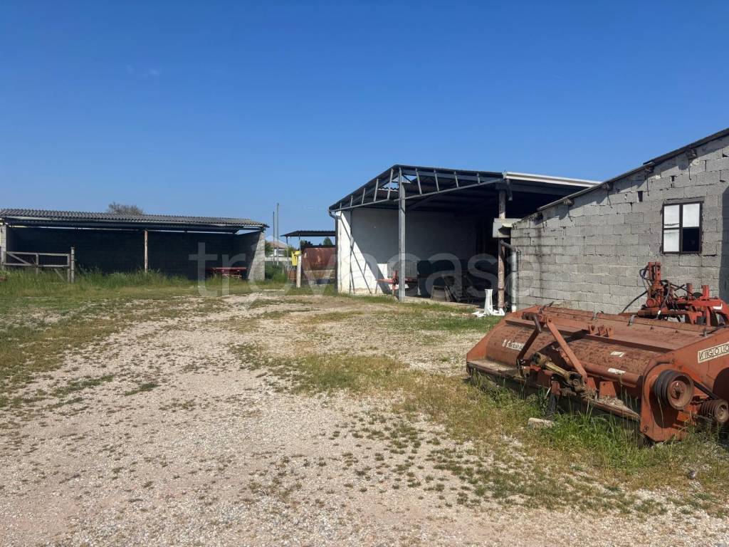 immagine annuncio 10 di 12