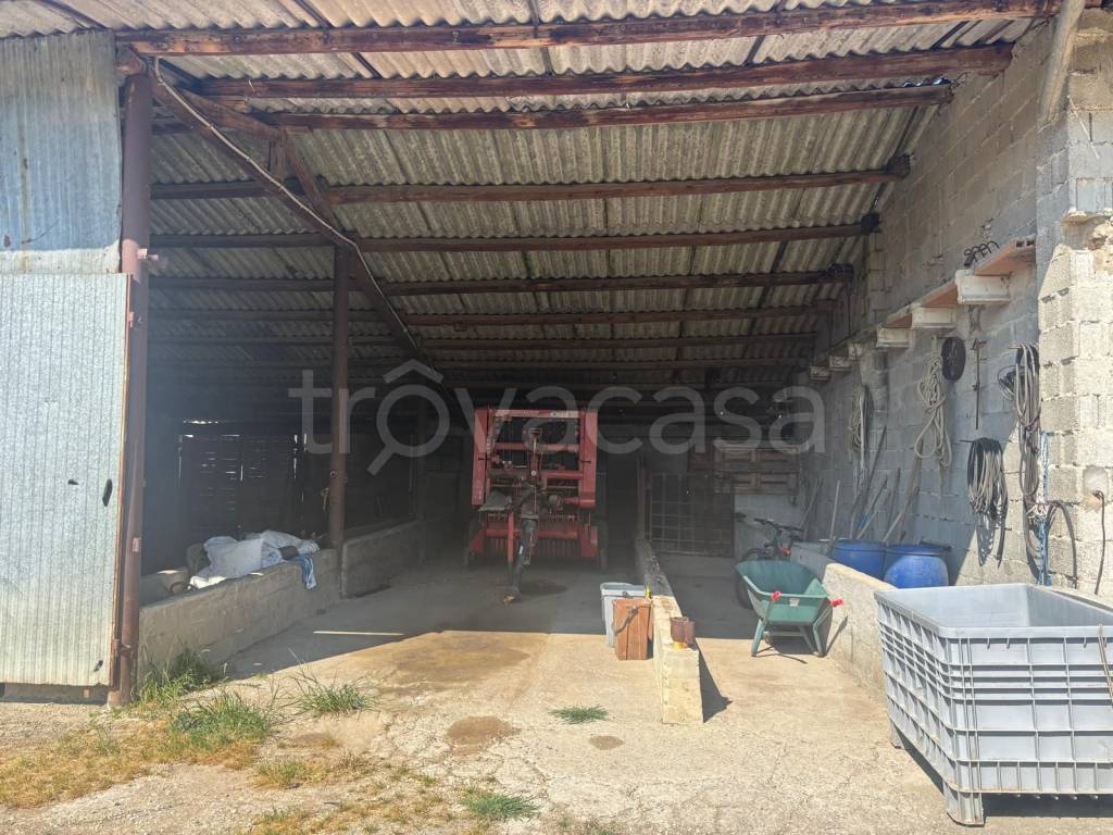 immagine annuncio 11 di 12