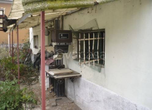 immagine annuncio 4 di 12