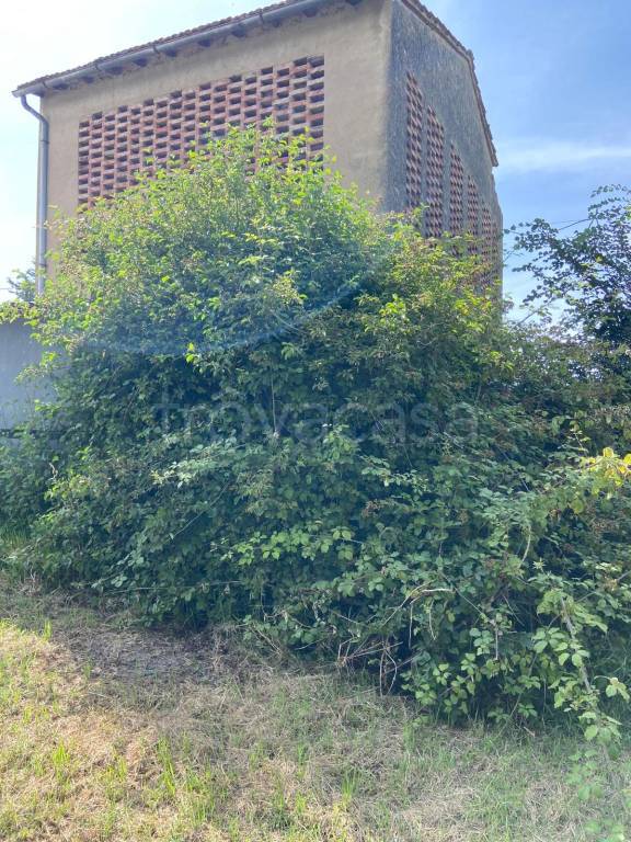 immagine annuncio 1 di 2