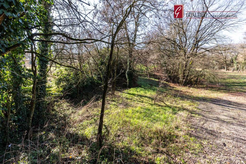 immagine annuncio 10 di 11