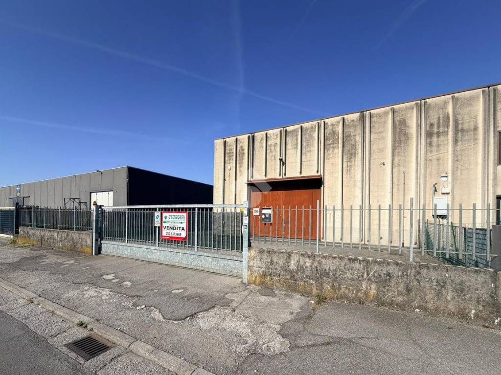 immagine annuncio 9 di 15