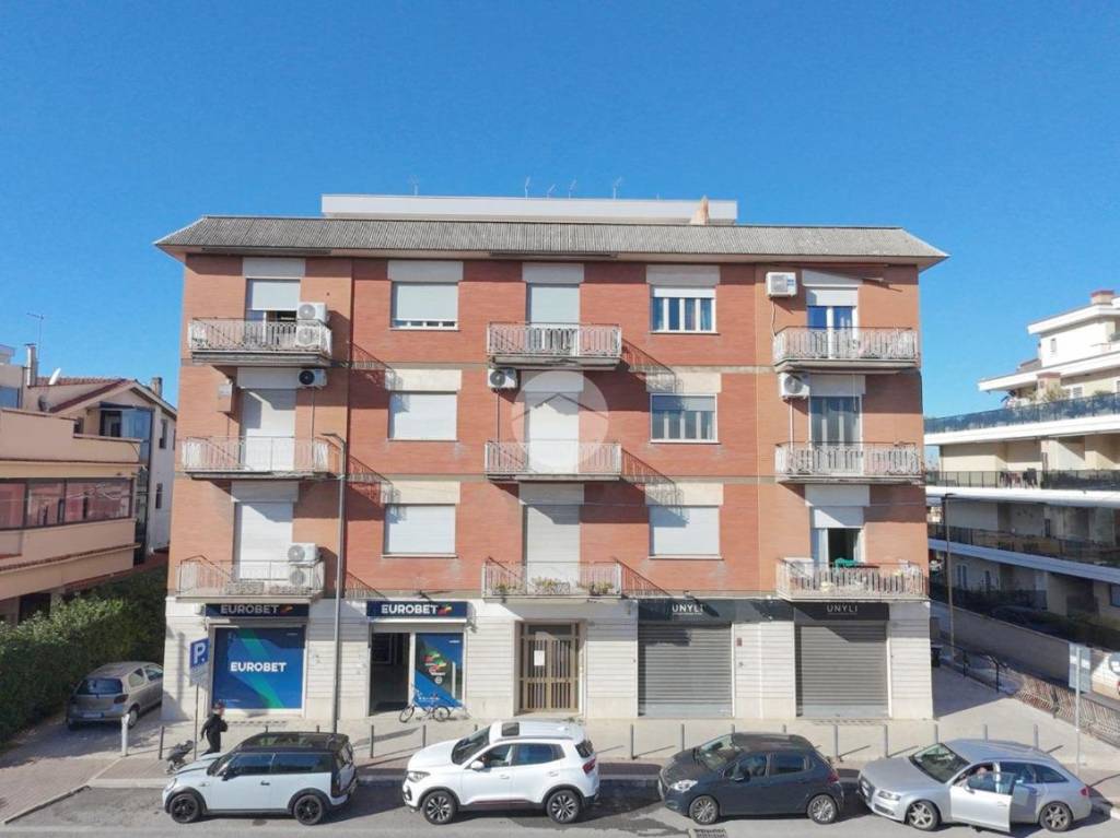 immagine annuncio 12 di 14