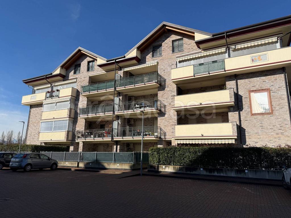 immagine annuncio 1 di 12