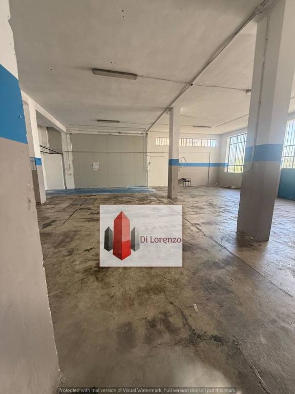 immagine annuncio 6 di 14