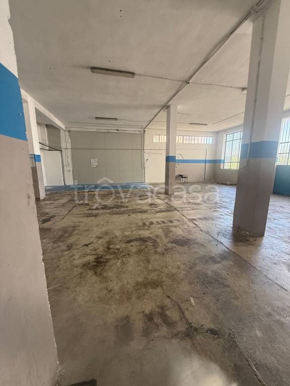 immagine annuncio 13 di 14