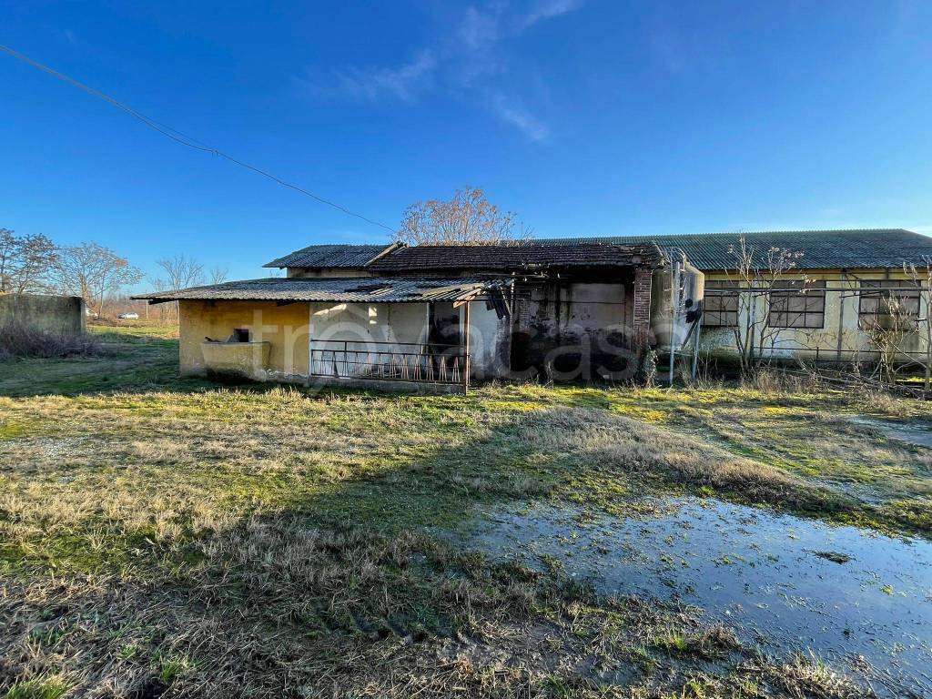 immagine annuncio 8 di 15