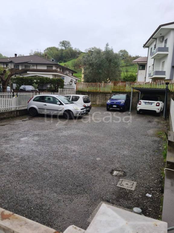 immagine annuncio 12 di 14