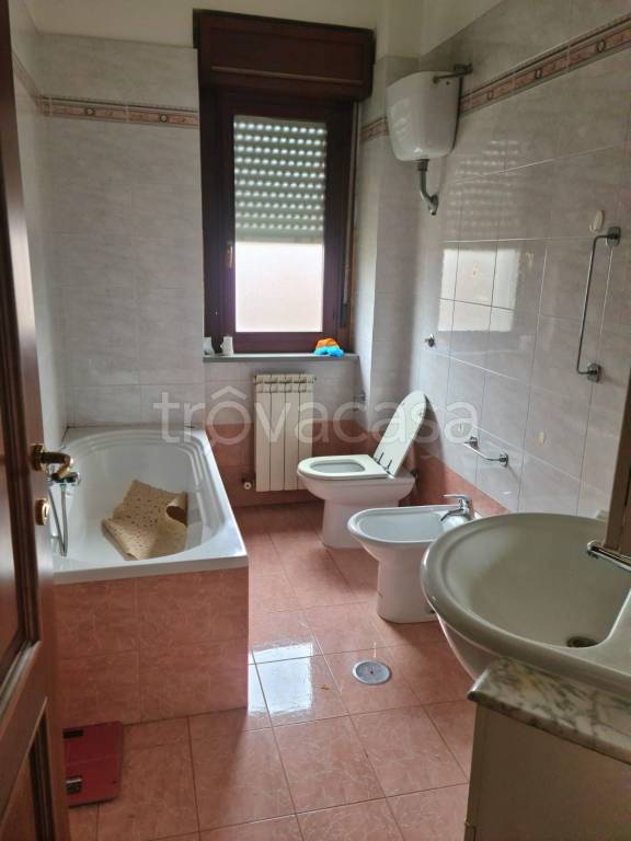 immagine annuncio 9 di 14