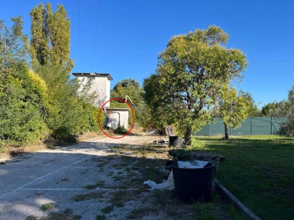 immagine annuncio 1 di 10