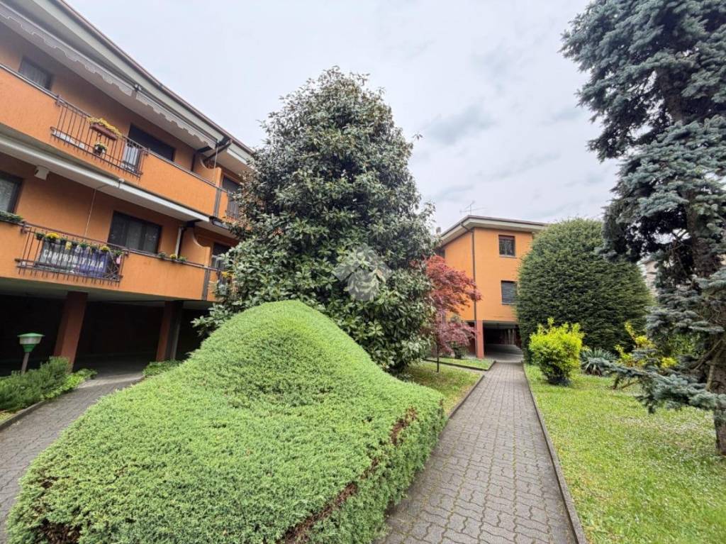 immagine annuncio 7 di 8