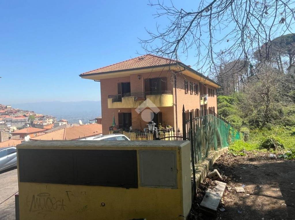 immagine annuncio 1 di 4