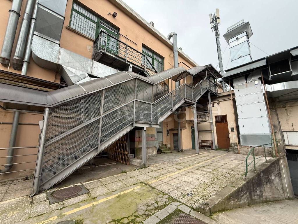 immagine annuncio 3 di 12