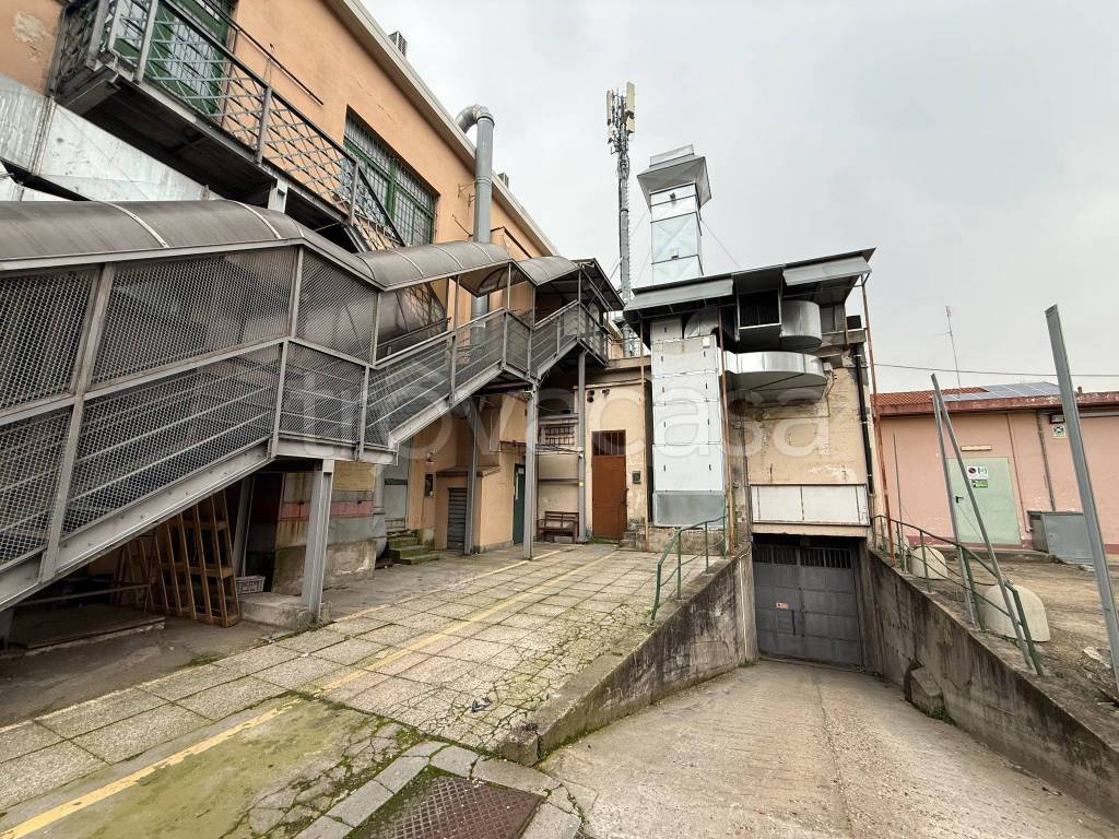 immagine annuncio 4 di 12