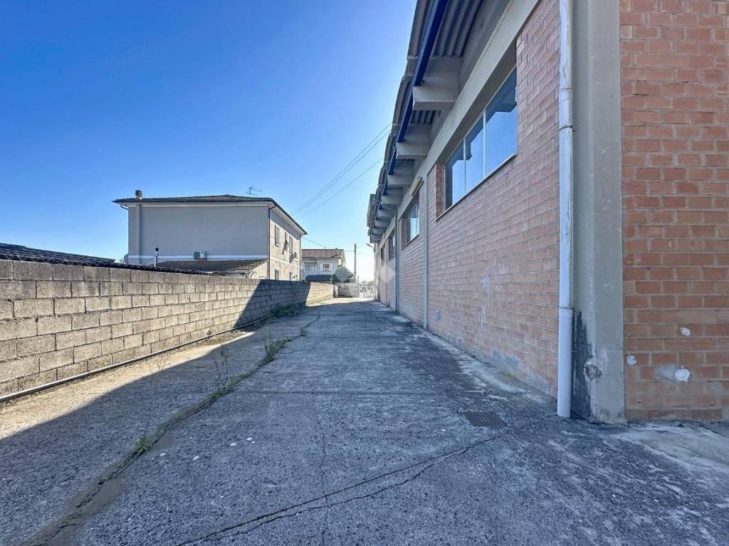 immagine annuncio 11 di 15