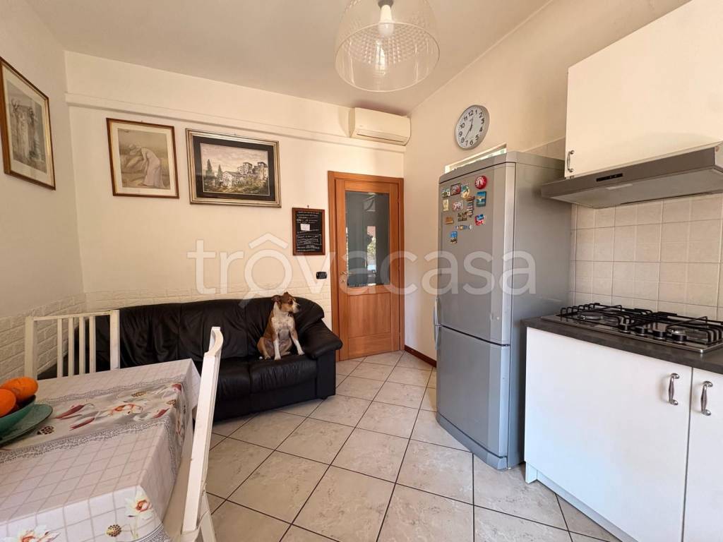 immagine annuncio 6 di 15