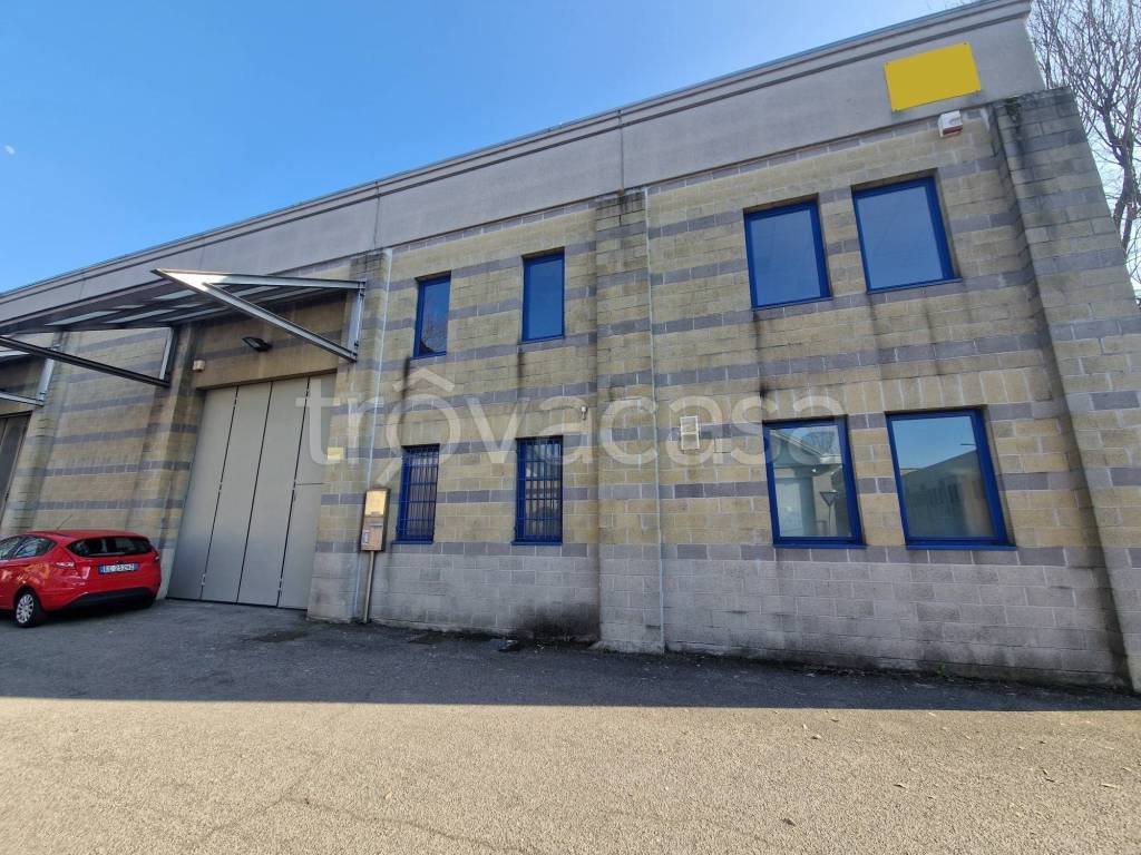 immagine annuncio 2 di 15