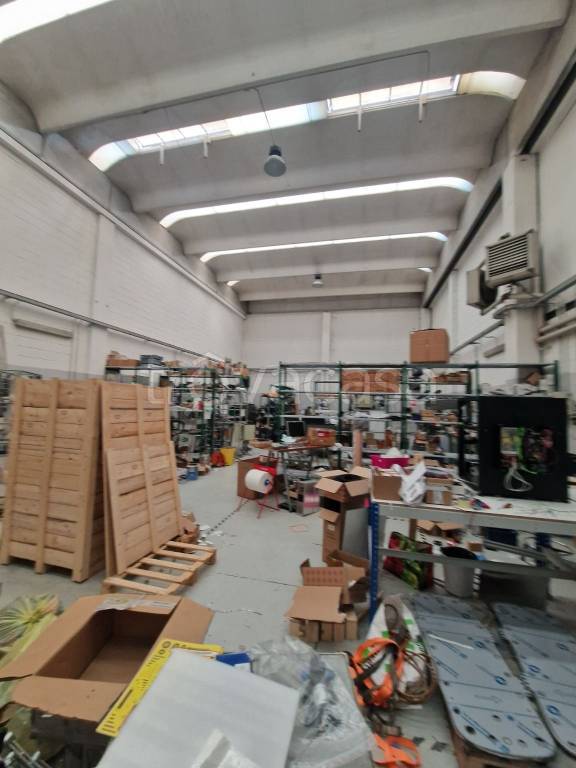 immagine annuncio 3 di 15