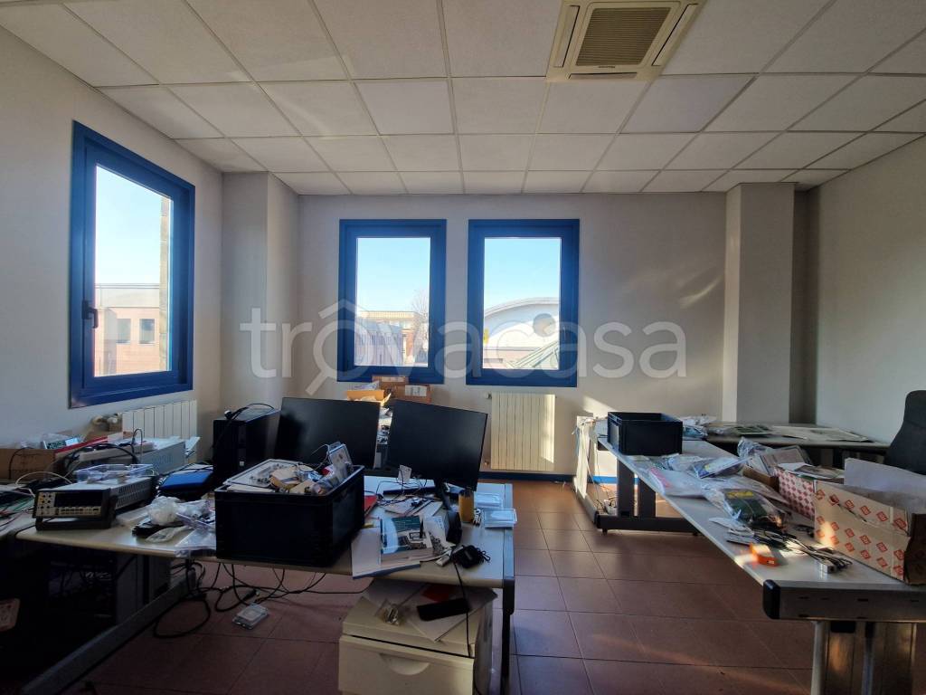 immagine annuncio 9 di 15