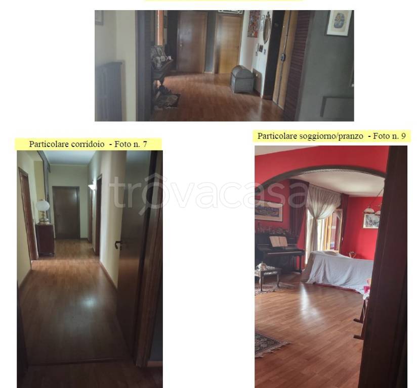 immagine annuncio 8 di 15