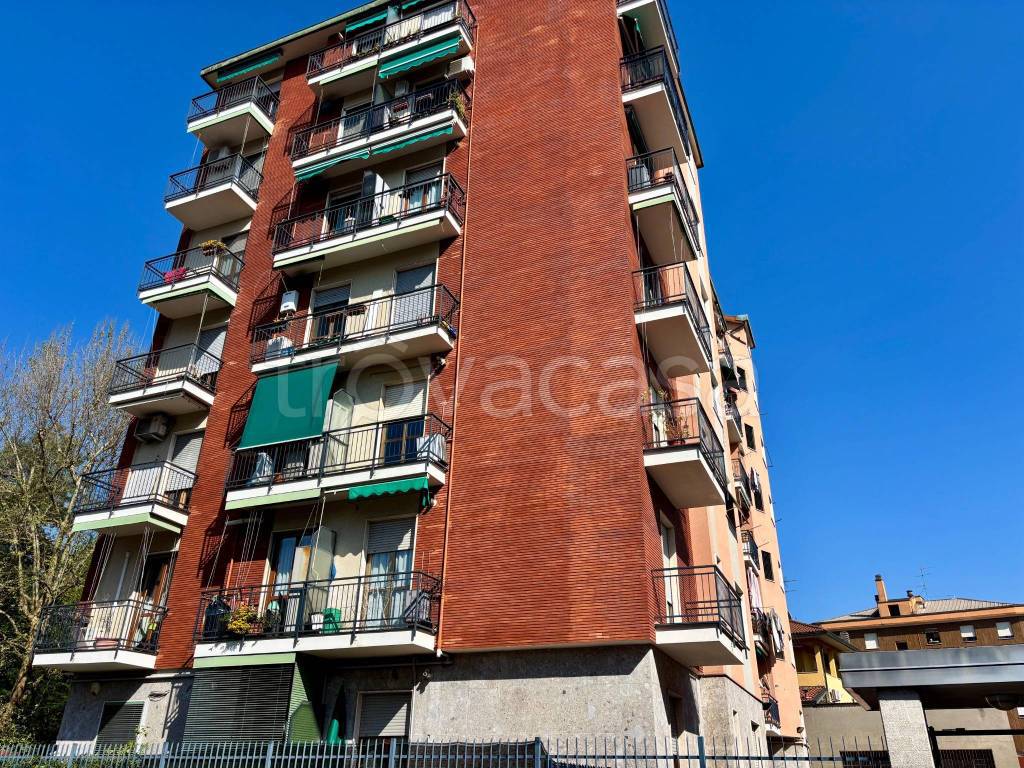 immagine annuncio 4 di 8