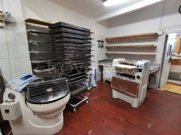 immagine annuncio 5 di 7