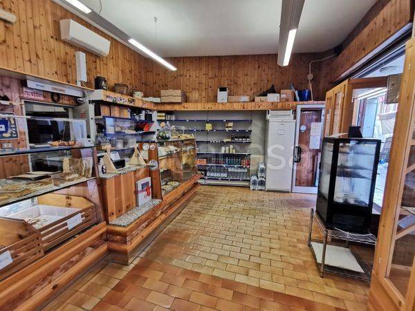 immagine annuncio 2 di 7